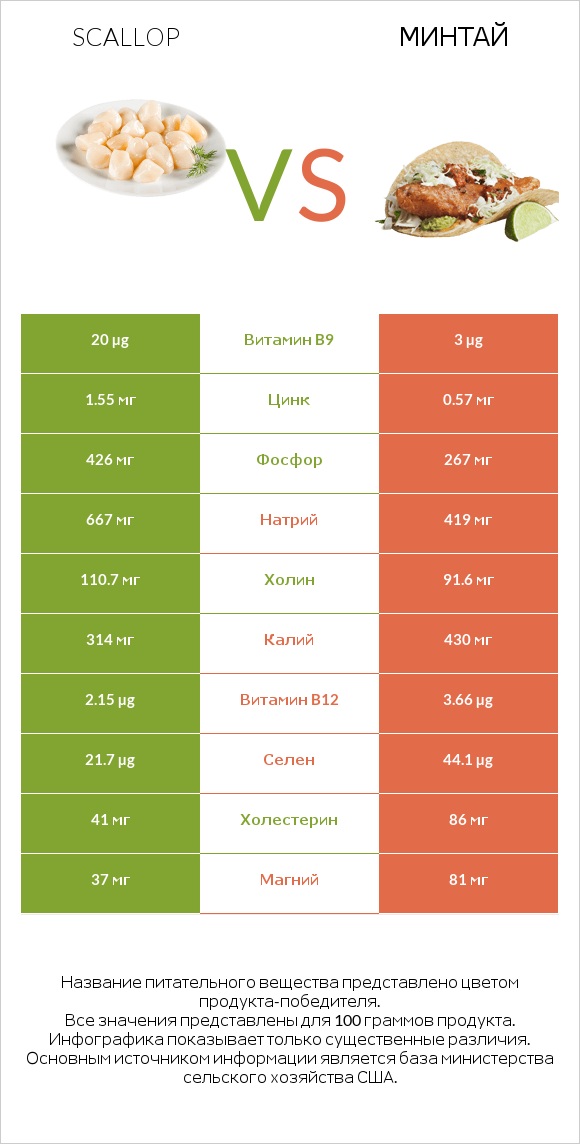 Scallop vs Минтай infographic