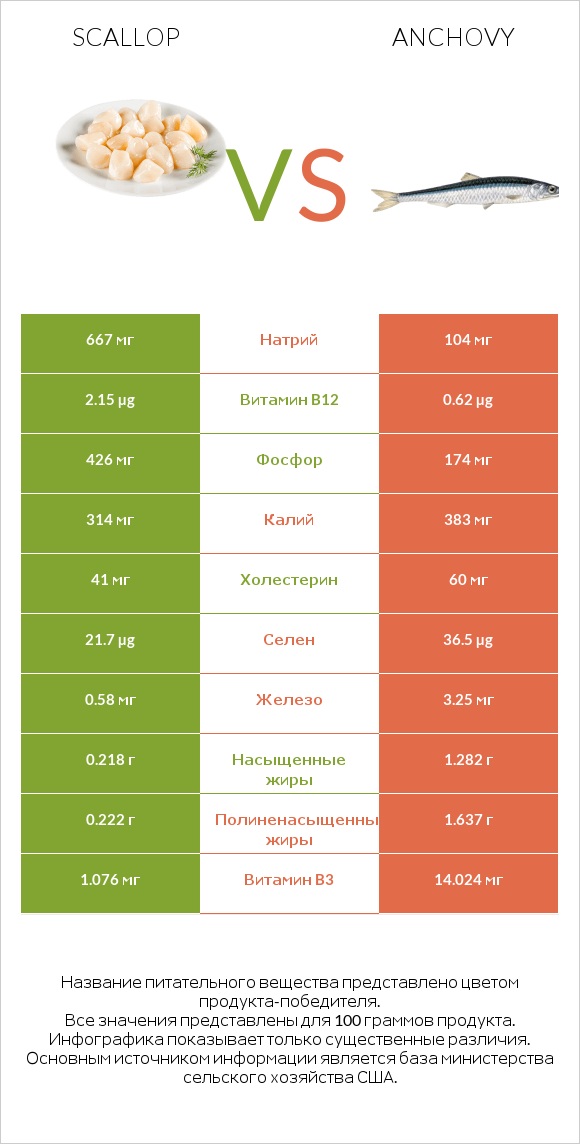 Scallop vs Anchovy infographic