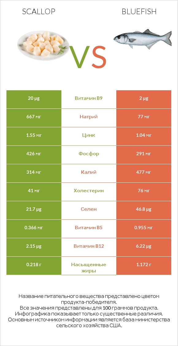 Scallop vs Bluefish infographic