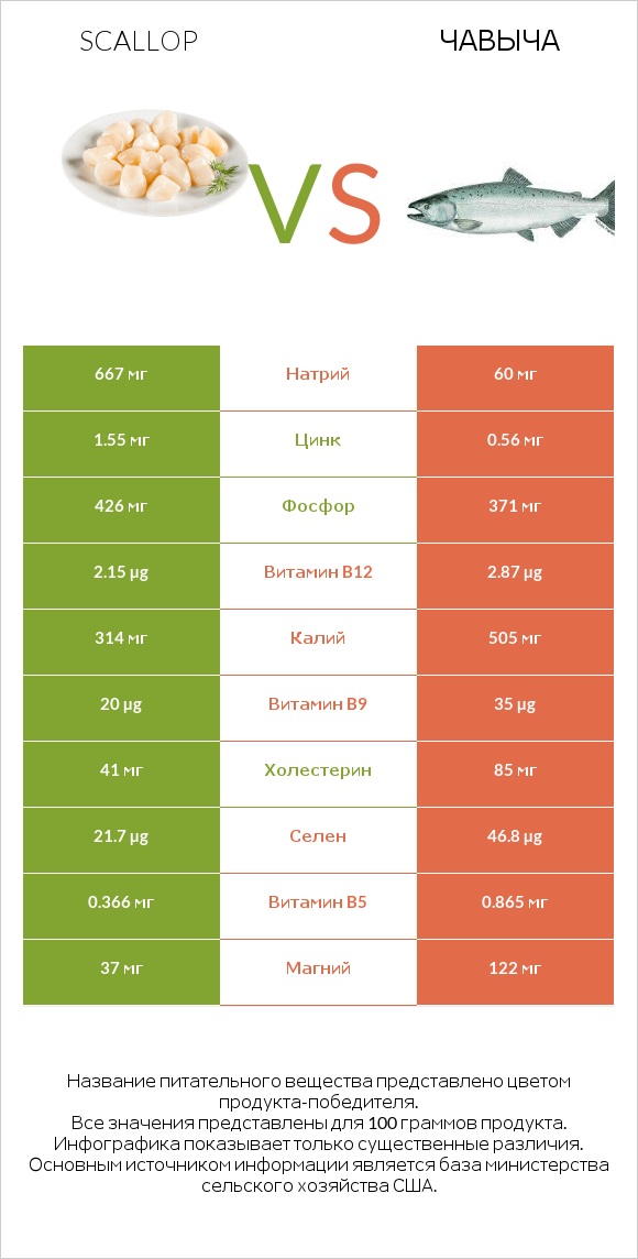 Scallop vs Чавыча infographic