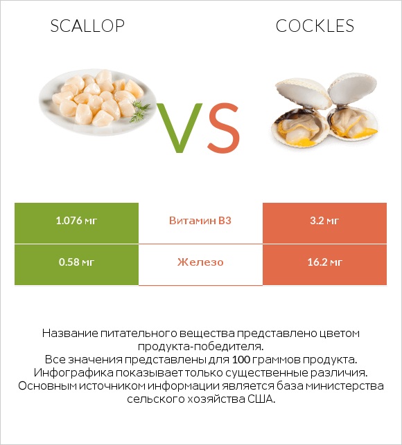 Scallop vs Cockles infographic