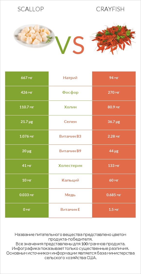 Scallop vs Crayfish infographic