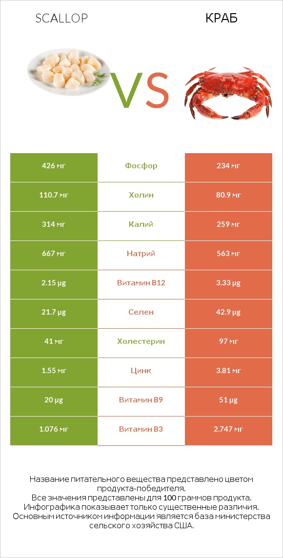 Scallop vs Краб infographic