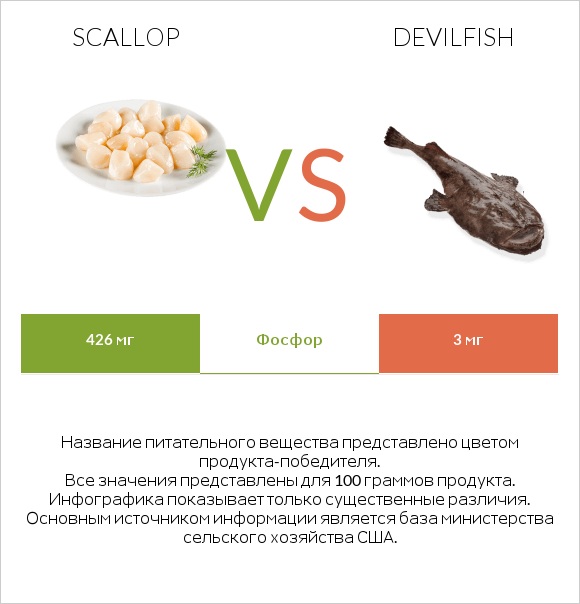 Scallop vs Devilfish infographic