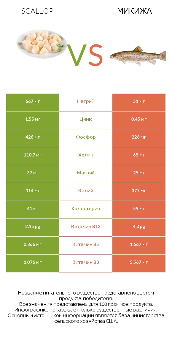 Scallop vs Микижа infographic