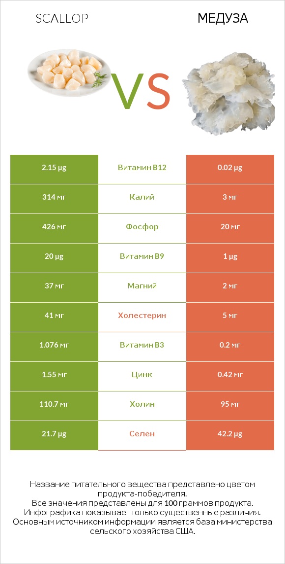 Scallop vs Медуза infographic