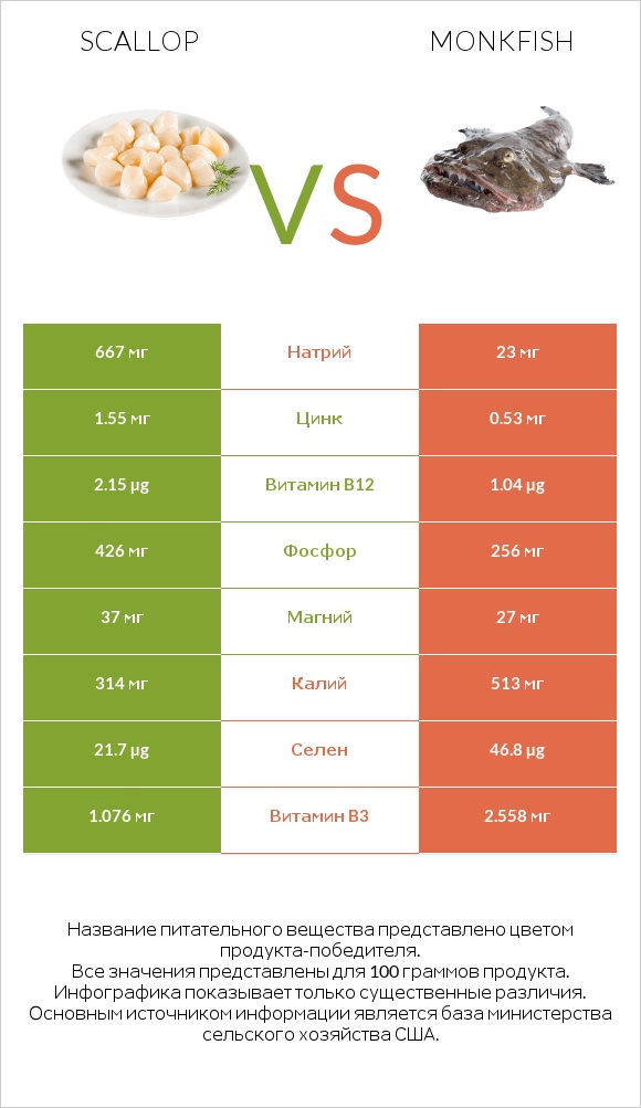 Scallop vs Monkfish infographic