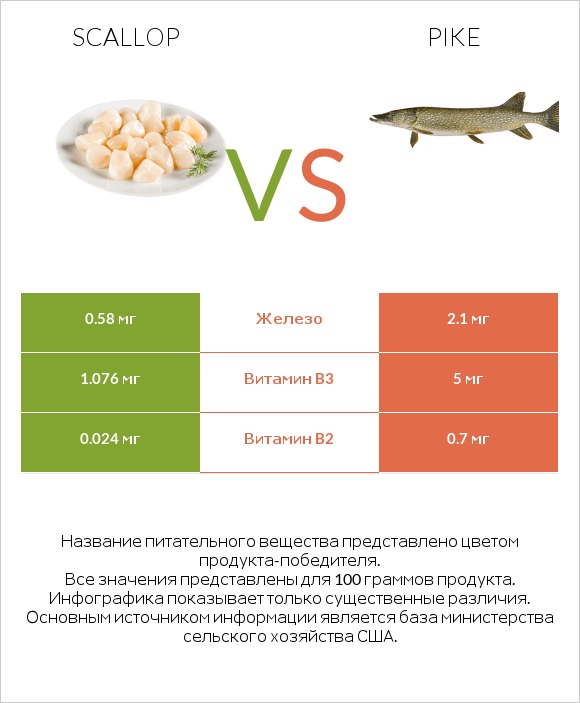 Scallop vs Pike infographic