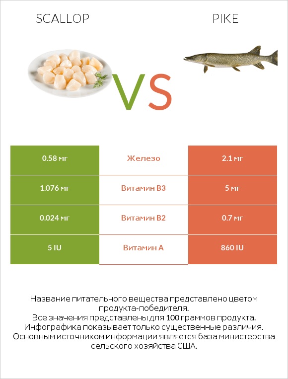 Scallop vs Pike infographic