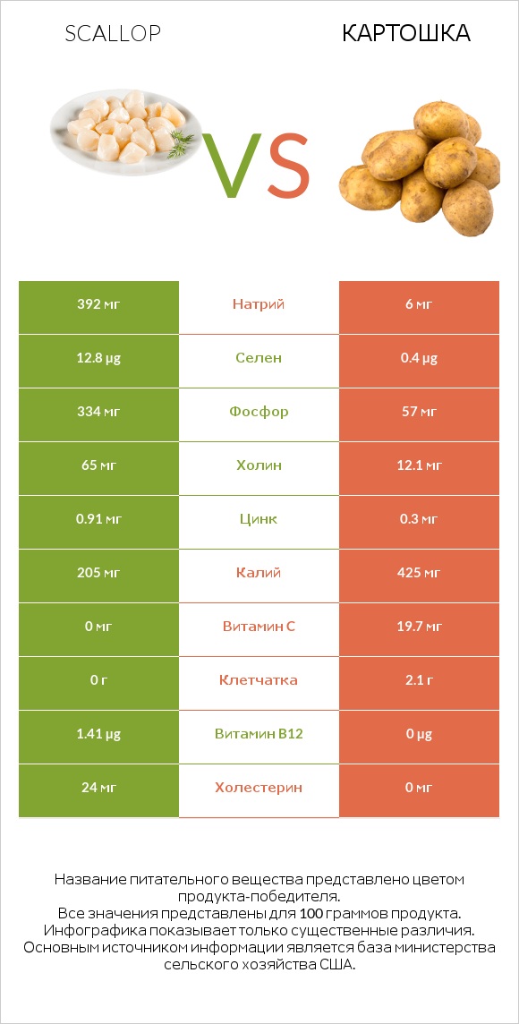 Scallop vs Картошка infographic