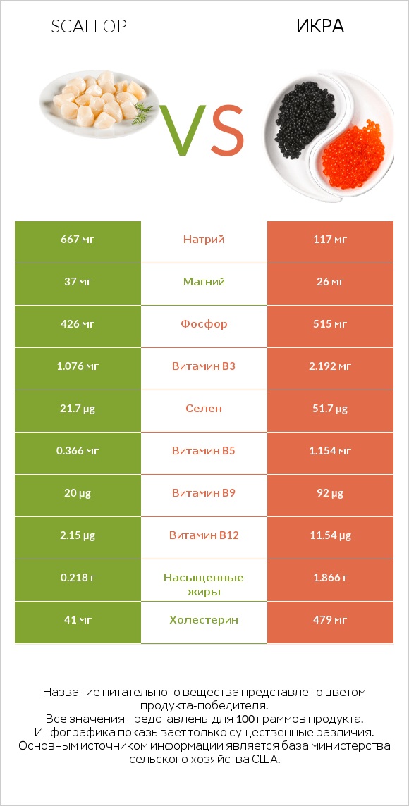 Scallop vs Икра infographic