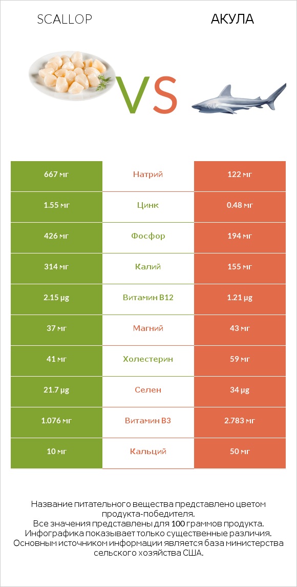 Scallop vs Акула infographic