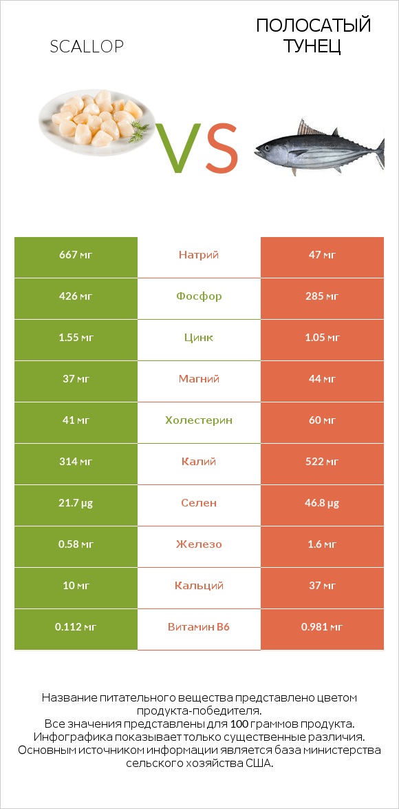 Scallop vs Полосатый тунец infographic