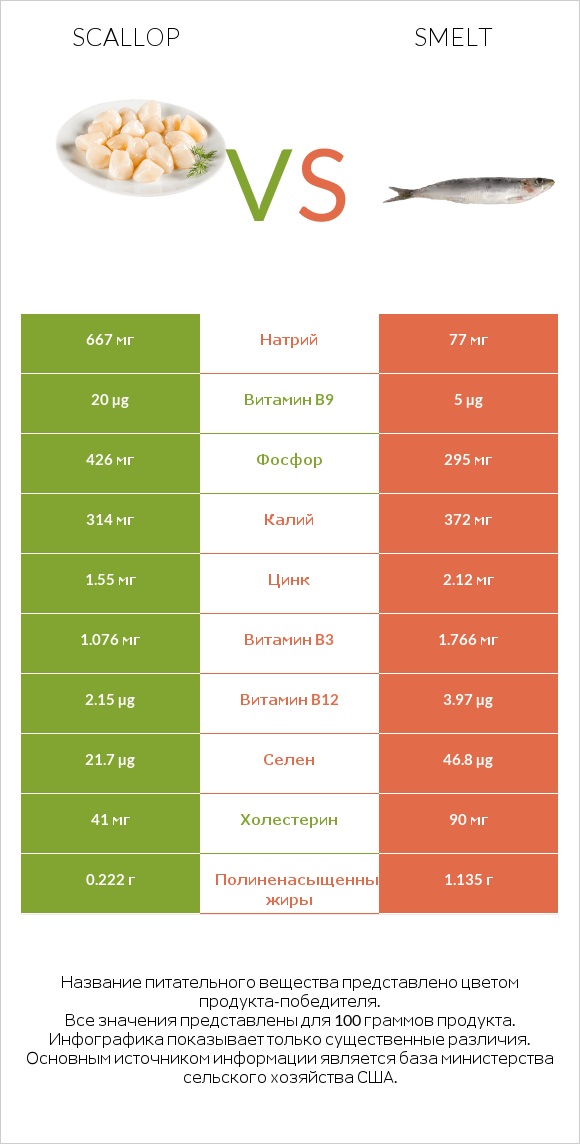 Scallop vs Smelt infographic