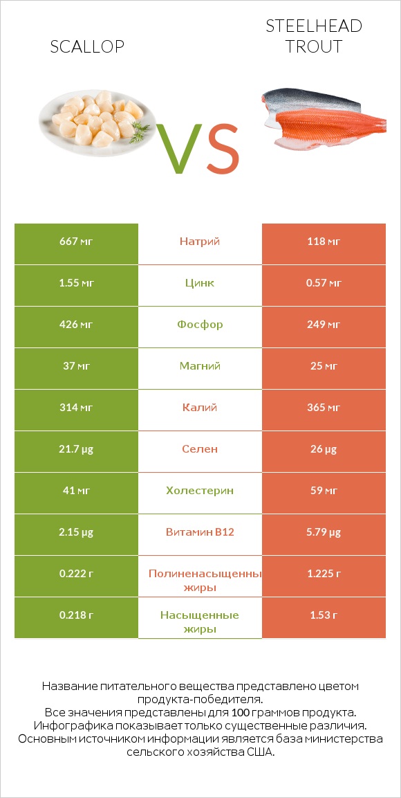 Scallop vs Steelhead trout infographic