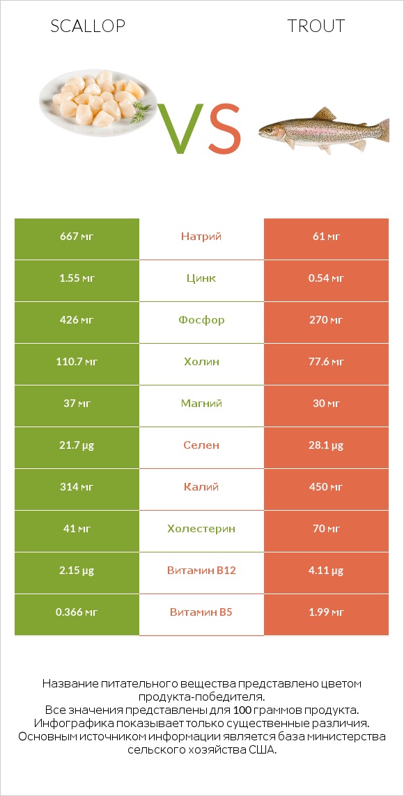 Scallop vs Trout infographic