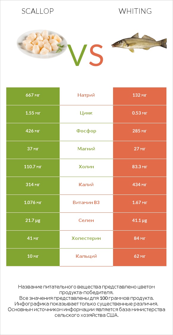 Scallop vs Whiting infographic