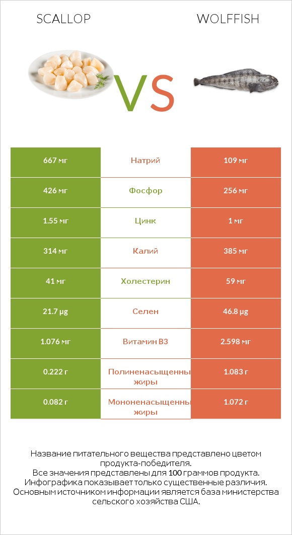 Scallop vs Wolffish infographic