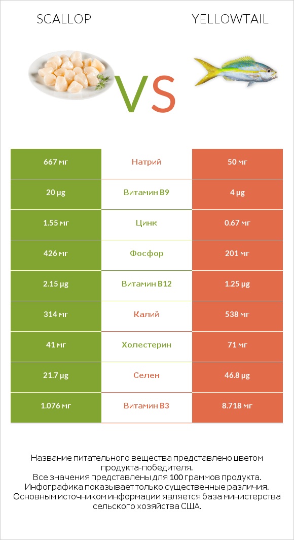 Scallop vs Yellowtail infographic