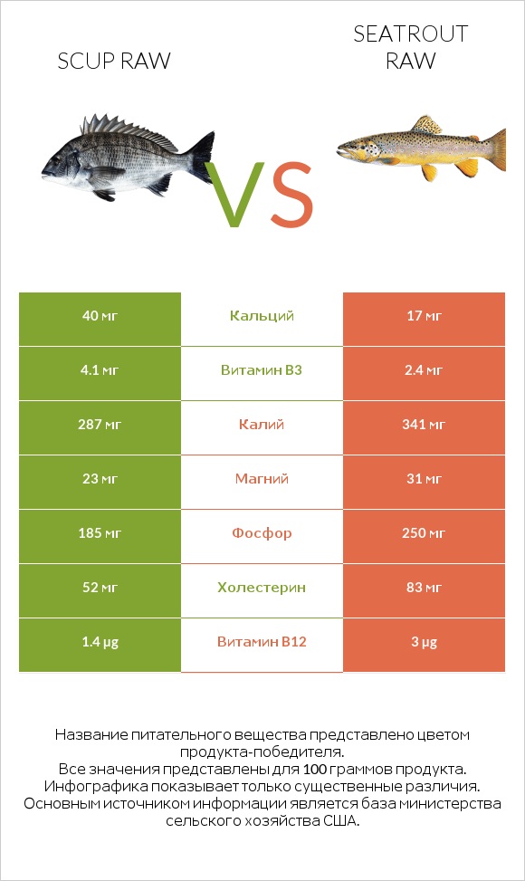 Scup raw vs Seatrout raw infographic