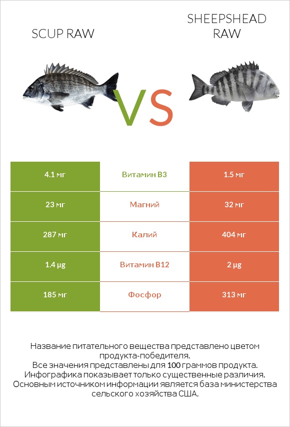 Scup raw vs Sheepshead raw infographic