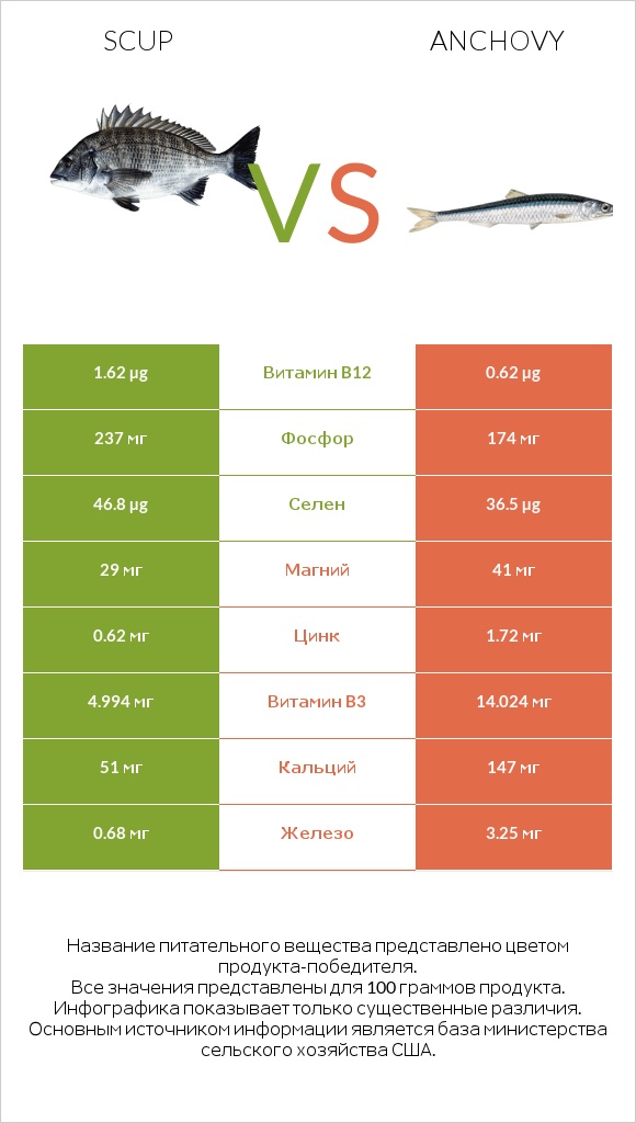 Scup vs Anchovy infographic