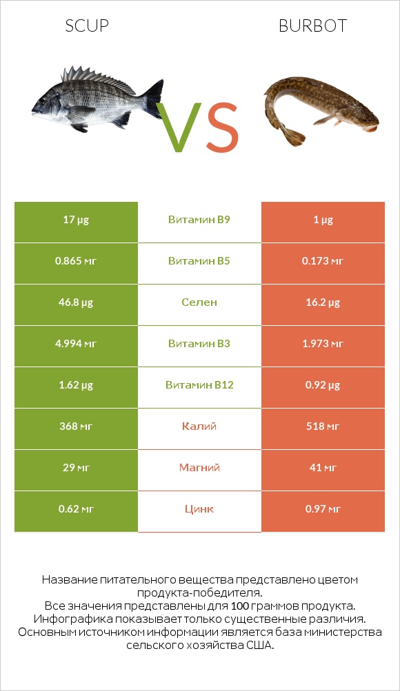 Scup vs Burbot infographic