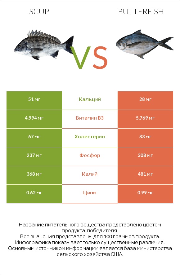 Scup vs Butterfish infographic