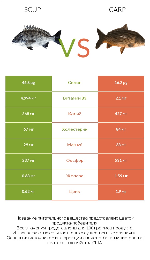 Scup vs Carp infographic