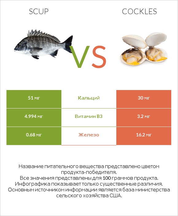 Scup vs Cockles infographic