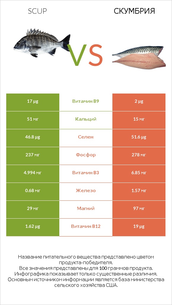 Scup vs Скумбрия infographic