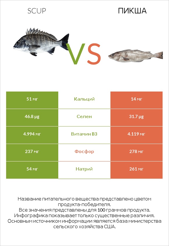 Scup vs Пикша infographic