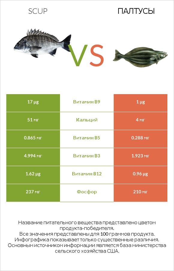 Scup vs Палтусы infographic