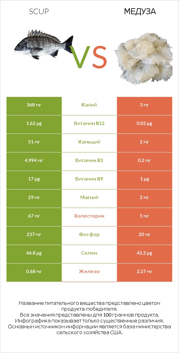 Scup vs Медуза infographic