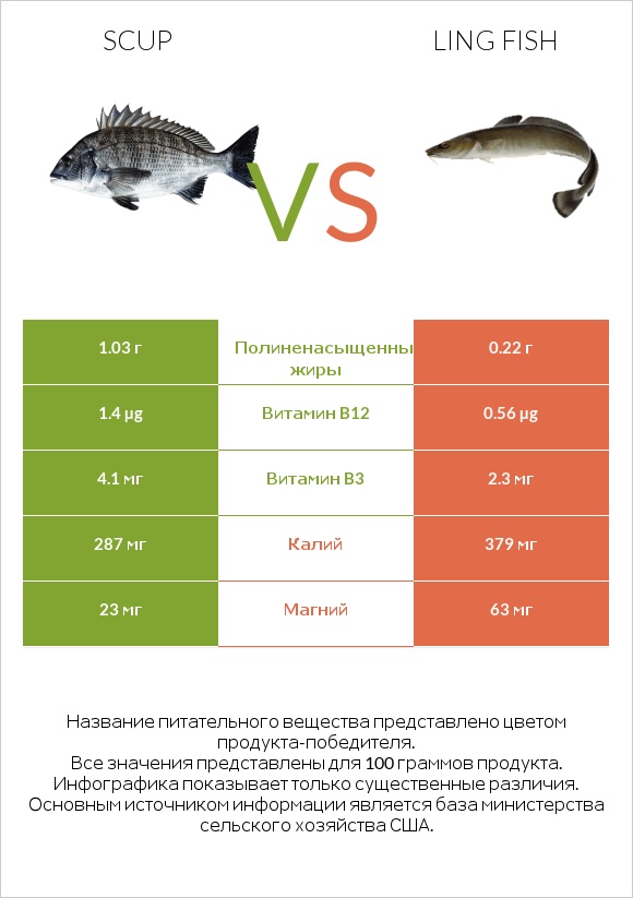 Scup vs Ling fish infographic