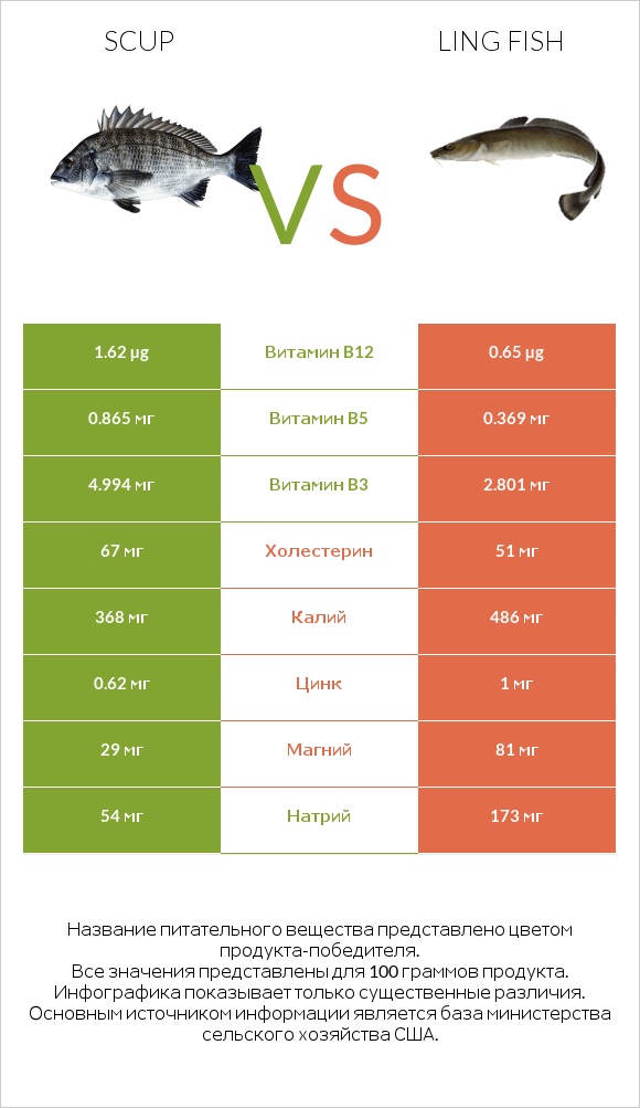 Scup vs Ling fish infographic