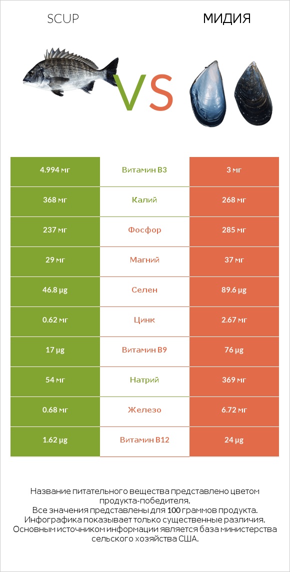 Scup vs Мидия infographic