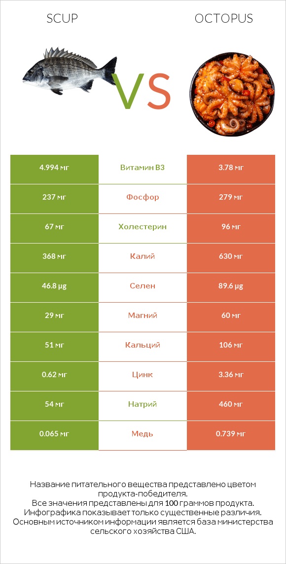 Scup vs Octopus infographic