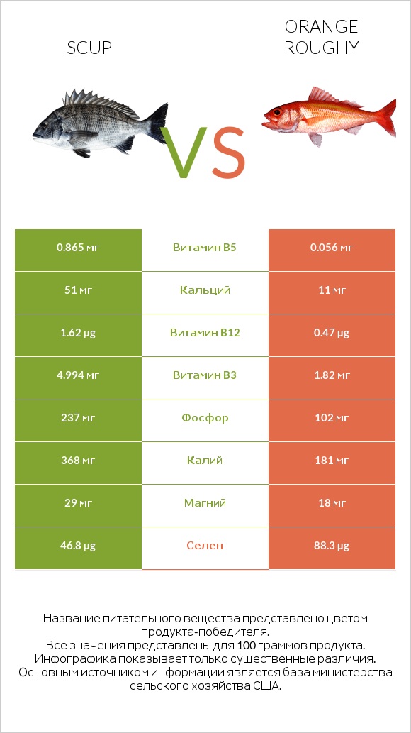 Scup vs Orange roughy infographic