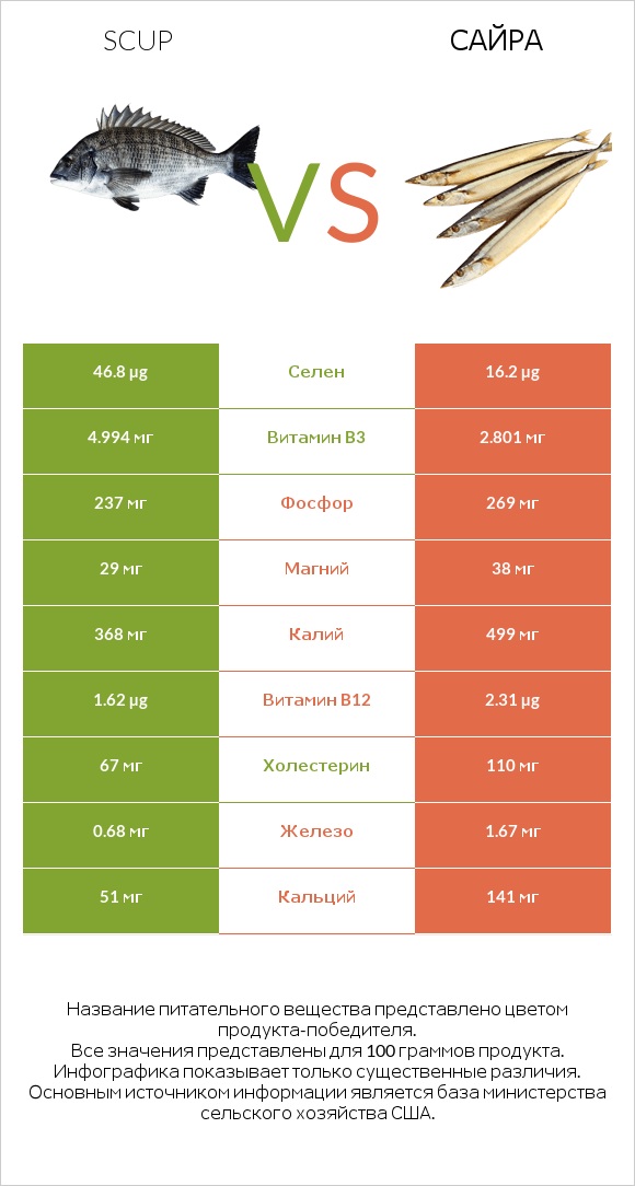 Scup vs Сайра infographic