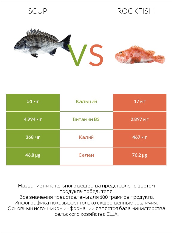 Scup vs Rockfish infographic