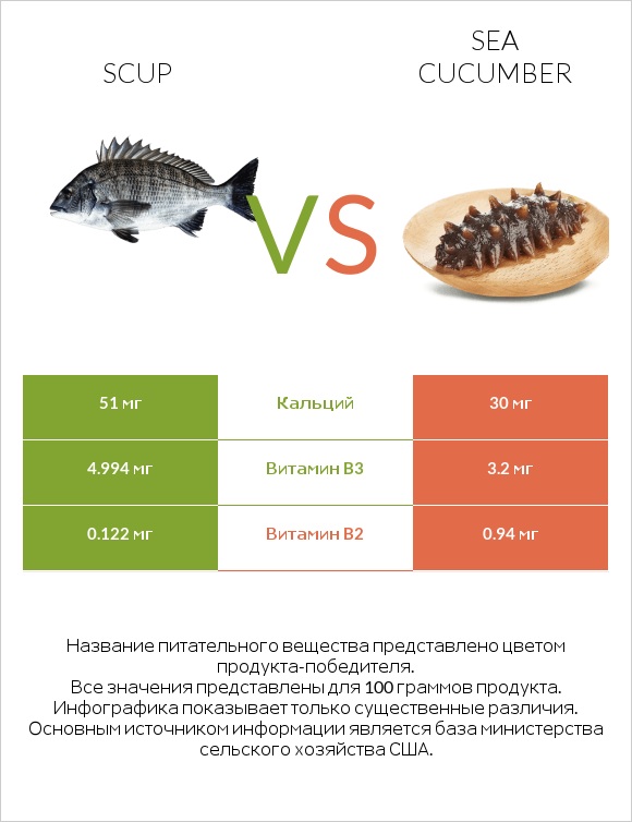 Scup vs Sea cucumber infographic