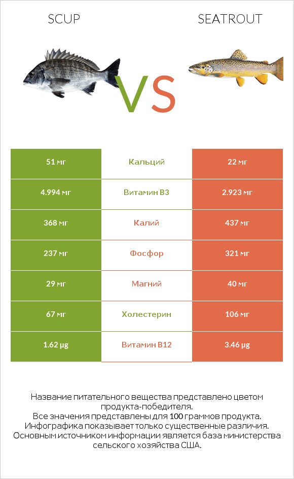 Scup vs Seatrout infographic