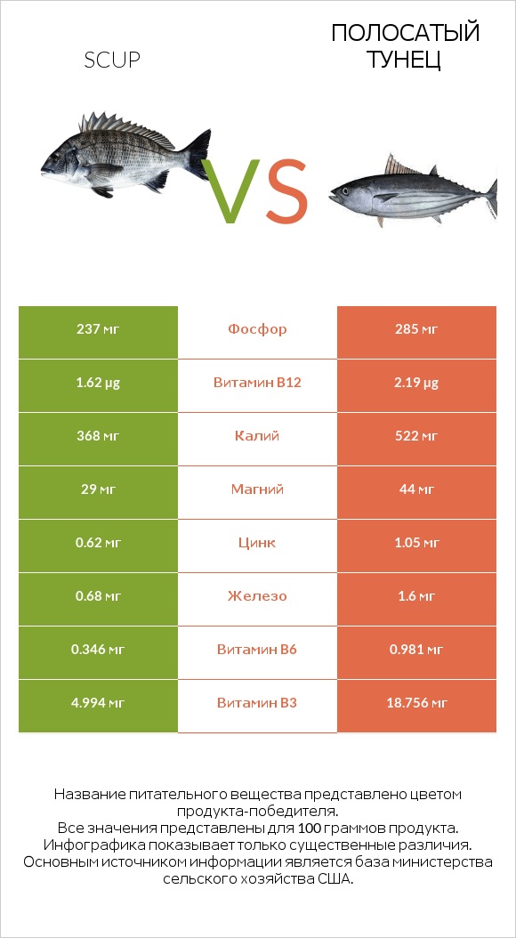 Scup vs Полосатый тунец infographic