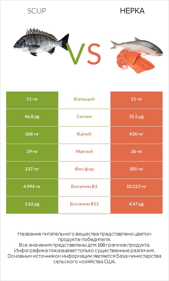 Scup vs Нерка infographic