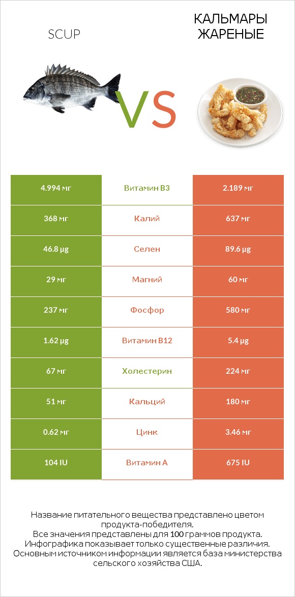 Scup vs Кальмары жареные infographic