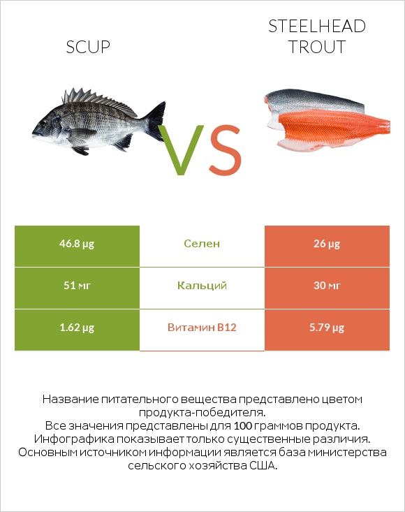 Scup vs Steelhead trout infographic