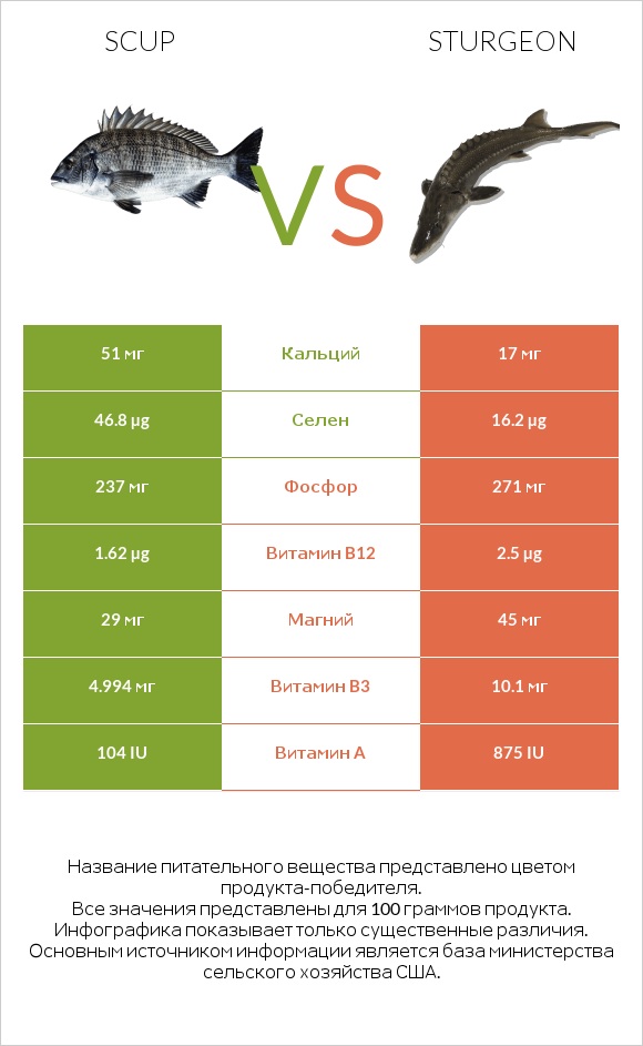 Scup vs Sturgeon infographic