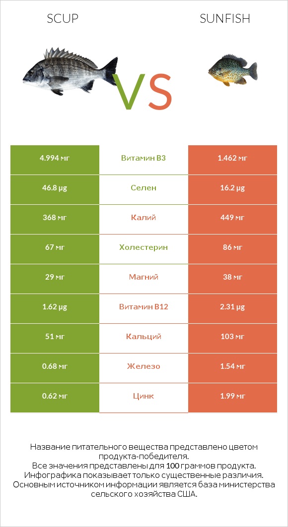 Scup vs Sunfish infographic