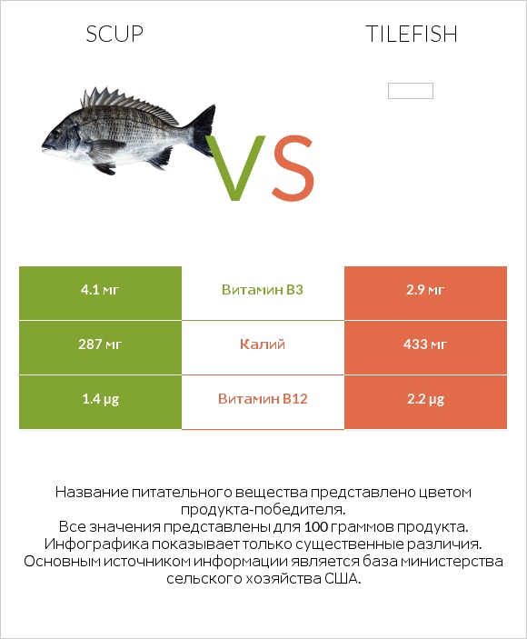 Scup vs Tilefish infographic